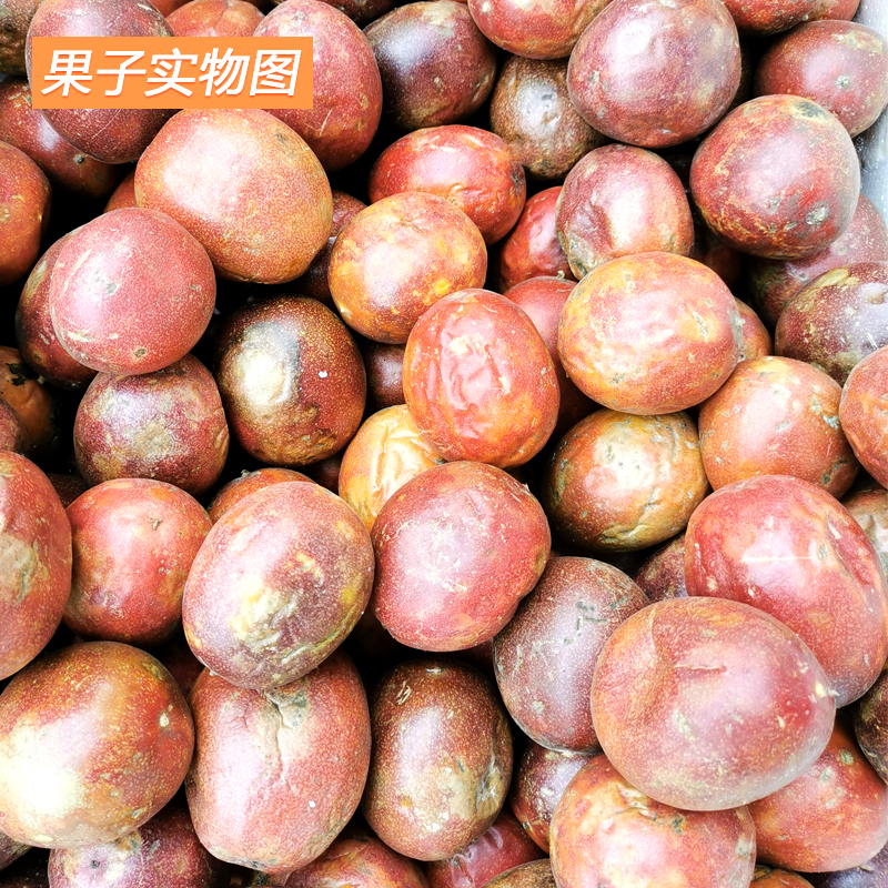 皱皮百香果花斑果榨汁果果粒图片_1