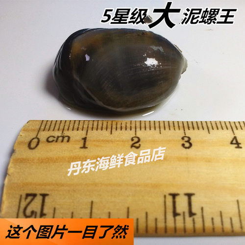 丹东正宇泥螺230g特大无沙即食生腌海鲜醉泥螺罐装礼盒东港特产 - 图2