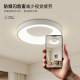 Ziqing Nordic simple round ceiling lamp