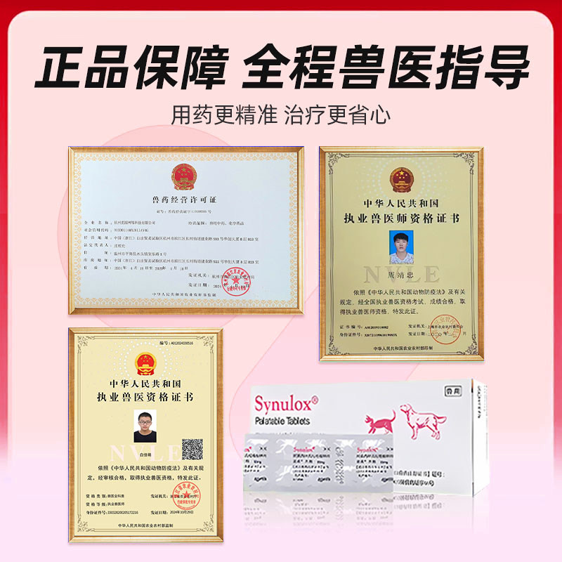 速诺消炎片猫狗阿莫西林克拉维酸钾片猫咪速诺猫咪感冒消炎药鼻支,淘宝优惠券,粉丝福利购,淘宝优惠卷