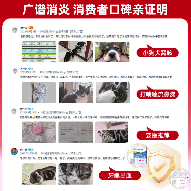 速诺消炎片猫狗阿莫西林克拉维酸钾片猫咪速诺猫咪感冒消炎药鼻支,淘宝优惠券,粉丝福利购,淘宝优惠卷