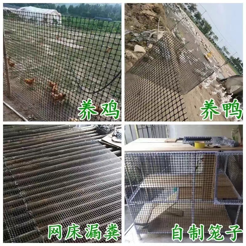 塑料围栏网养鸡网养殖网果园圈地护栏网大棚防护网防鸟网圈玉米网 - 图0