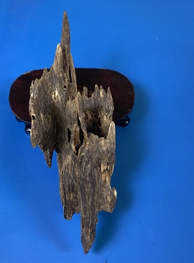 越南芽庄黑油虫漏沉香味道浓郁花果香摆件客厅会所店铺装饰保真