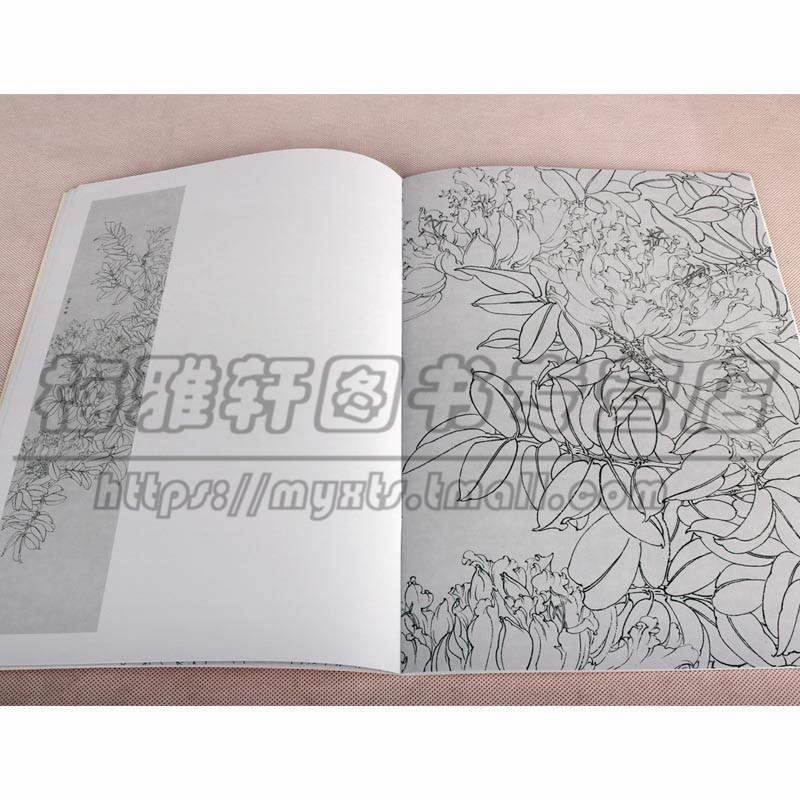 白描热带植物精选 3册 白描花卉植物工笔画书籍入门素材线描白描写生临摹画册基础画法入门步骤如何怎样花鸟画工笔白描画的书籍