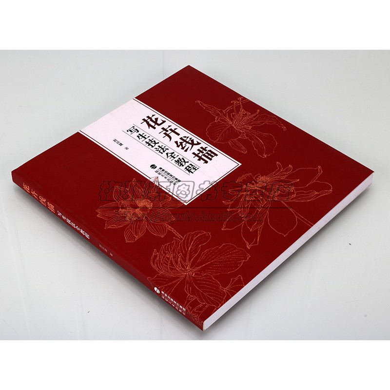 花卉线描写生技法全教程 花卉写生技法工笔画花卉技法白描底稿勾线稿毛笔画谱国画上色花卉画作绘画教学教材书籍福建美术