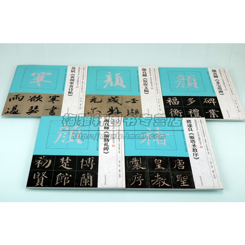中小学生描红字帖我向经典学书法(全套5册)名家经典碑帖颜真卿多宝塔颜勤礼碑祭侄文稿褚遂良雁塔圣教序书法临摹米字格帖河南美术