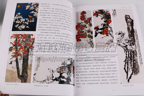 写意木本花卉技法 贾宝珉 中国画水墨玉兰木棉月季茶花技法画法步骤如何画基础入门教程花鸟教学范本画谱画册画集素材绘画艺术书籍 - 图2