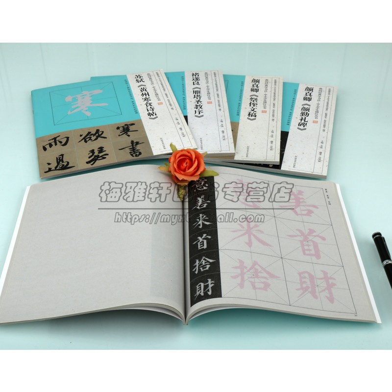 中小学生描红字帖我向经典学书法(全套5册)名家经典碑帖颜真卿多宝塔颜勤礼碑祭侄文稿褚遂良雁塔圣教序书法临摹米字格帖河南美术