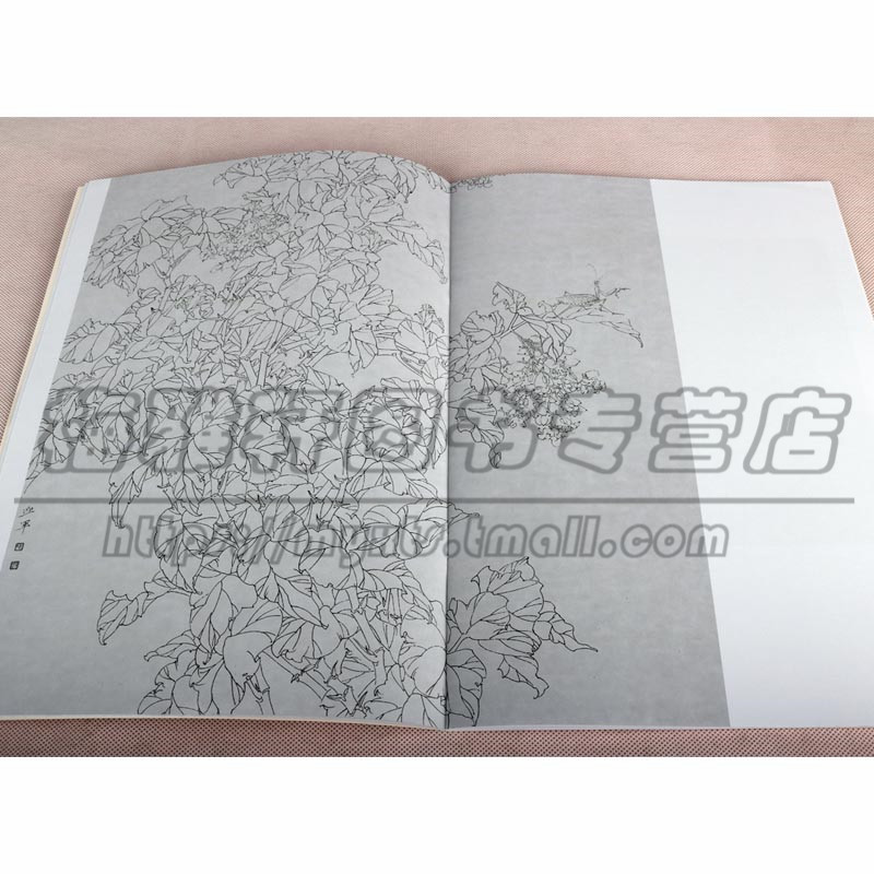 白描热带植物精选 3册 白描花卉植物工笔画书籍入门素材线描白描写生临摹画册基础画法入门步骤如何怎样花鸟画工笔白描画的书籍