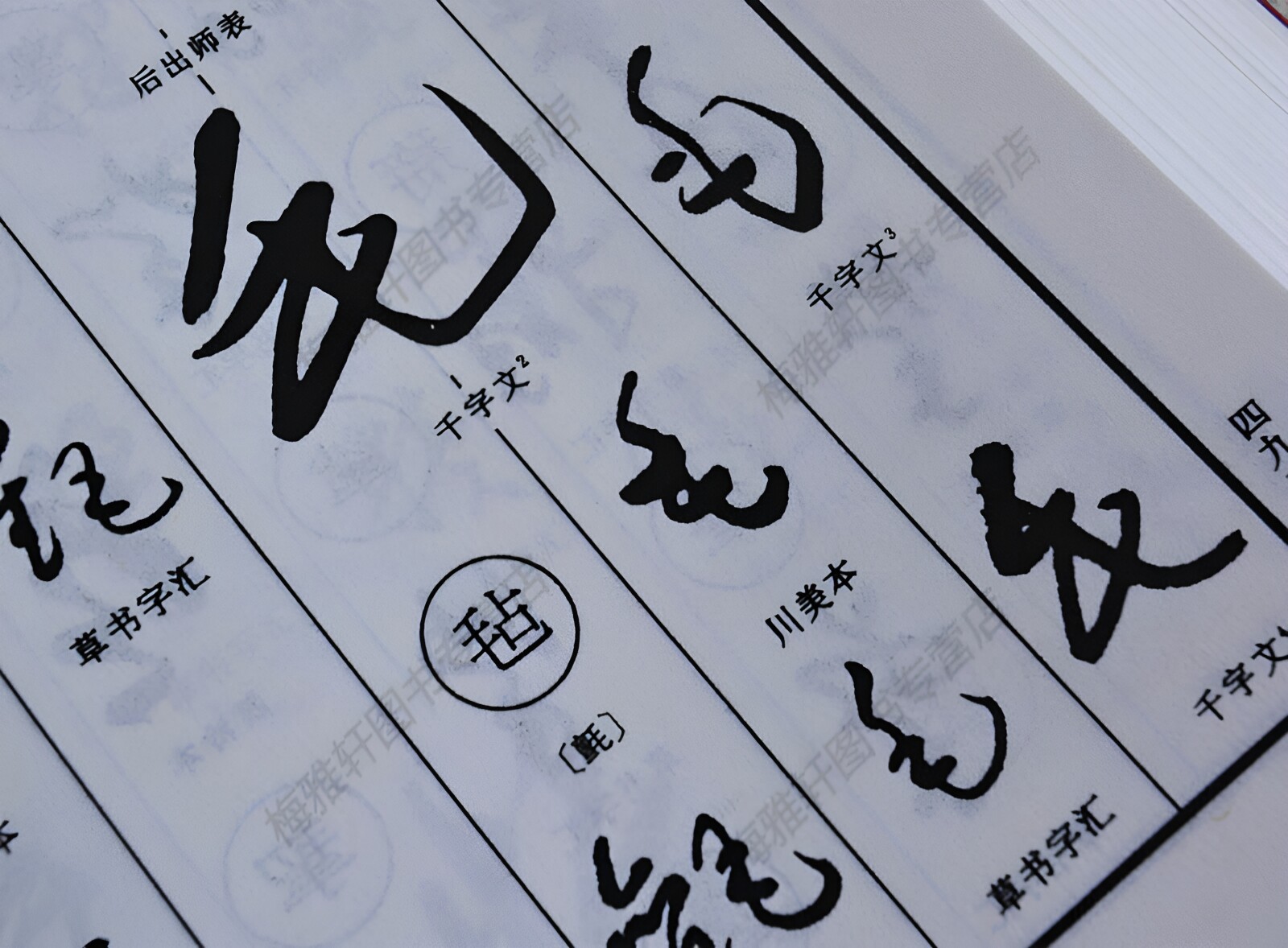 正版于右任标准草书字典中国实用草书大字典行草名家草书法作品大全艺术大家书法临摹字帖书法工具书字汇字编书法艺术欣赏书籍