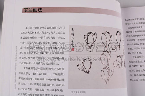 写意木本花卉技法 贾宝珉 中国画水墨玉兰木棉月季茶花技法画法步骤如何画基础入门教程花鸟教学范本画谱画册画集素材绘画艺术书籍 - 图3
