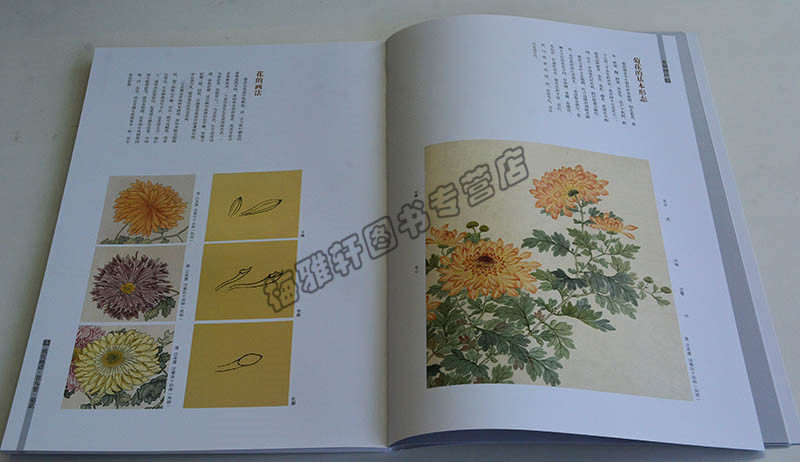 正版 国画菊花技法 名家水墨写意中国山水人物花鸟画技法丛书基础自学初学如何怎么详解析起步教程教材书籍入门到精通画册作品集