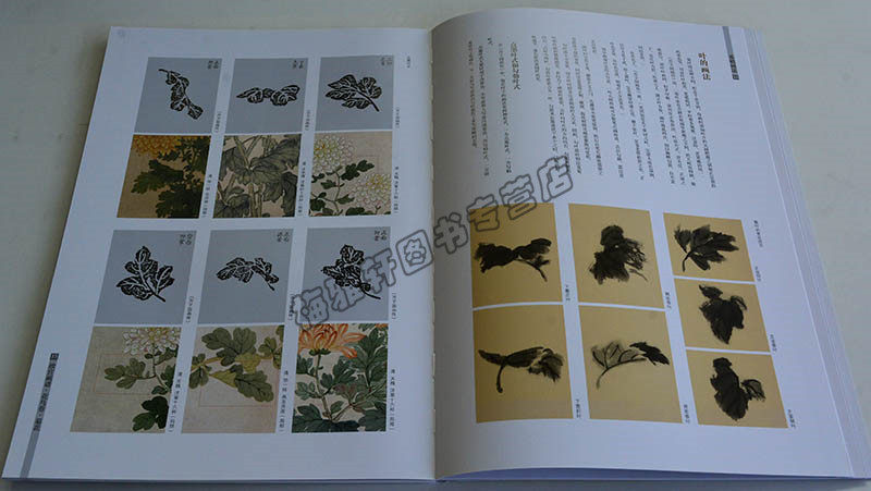 正版 国画菊花技法 名家水墨写意中国山水人物花鸟画技法丛书基础自学初学如何怎么详解析起步教程教材书籍入门到精通画册作品集
