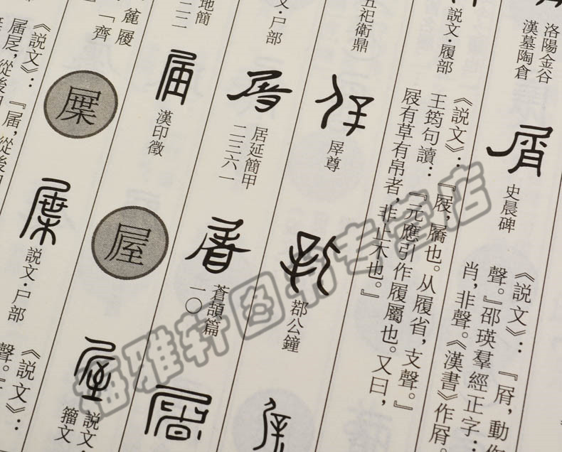 【新版】正版甲金篆隶大字典 篆书隶书大字典 书法字典工具书 甲骨文字典金文字典篆书字典隶书字典 书法中华书法艺术书籍