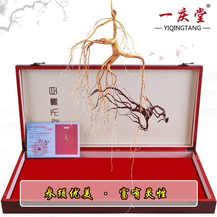  一庆堂山参