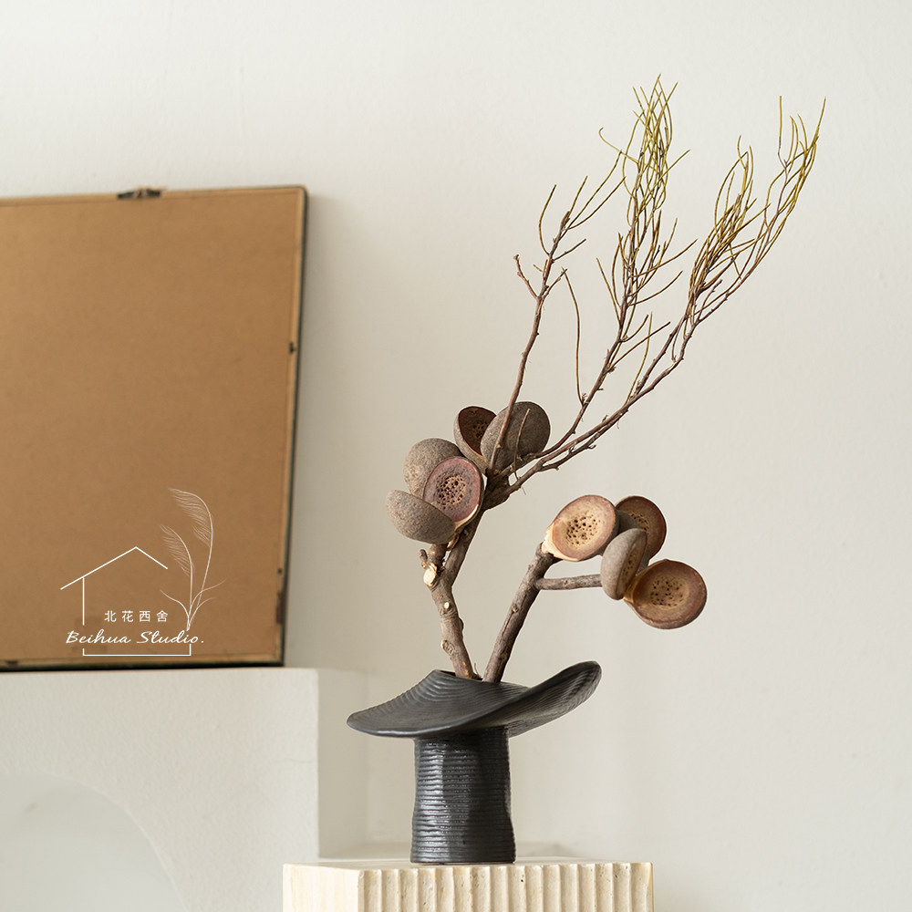 澳洲进口板球荣桦轻奢花材软装陈设家居个性插花真花哈克木干树枝 - 图0