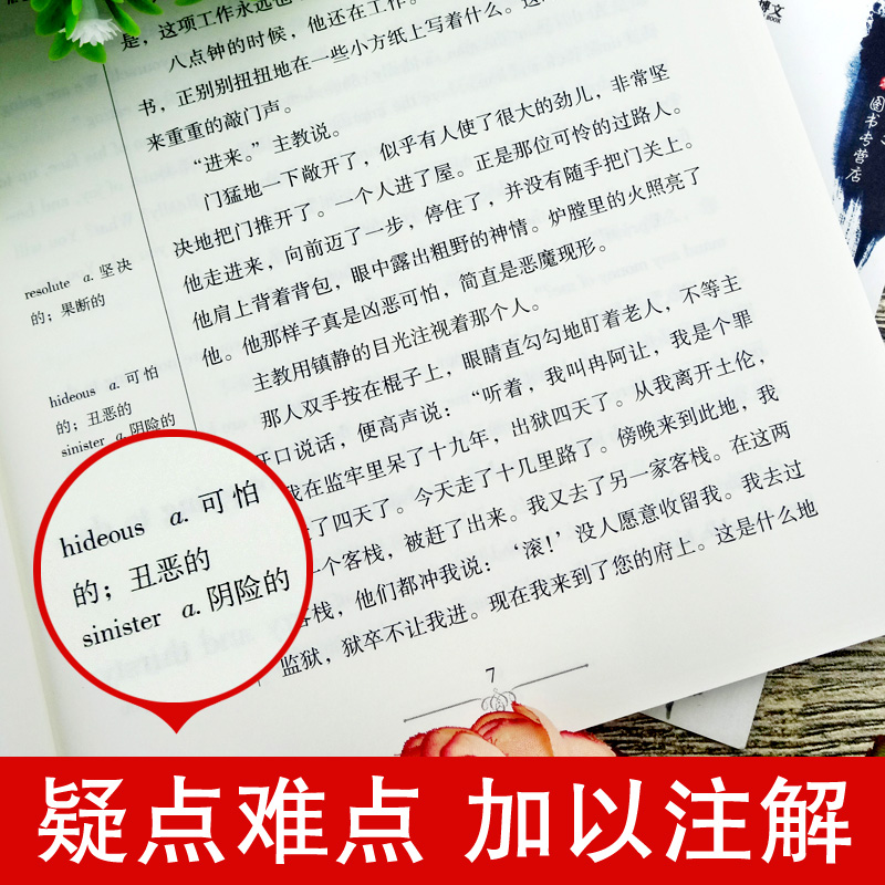 【共10册】世界双语名著中英文对照小说读名名著学英语飘大卫简爱傲慢与偏见巴黎圣母院中英文双语书籍英汉对照名著正版-图3