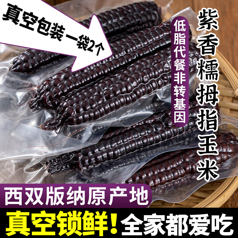 5斤 西双版纳紫香糯拇指小玉米云南特产新鲜甜糯儿童拇指玉米早餐