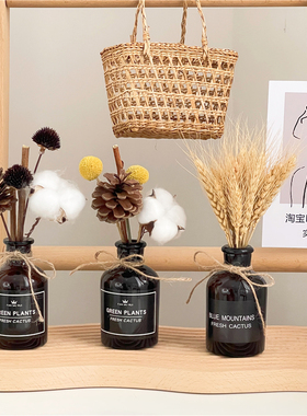 ins北欧尤加利棉花干花桌面摆件