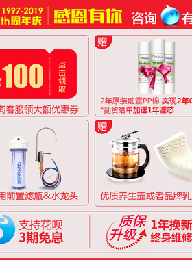 美国派斯净水器ps-10自来水过滤
