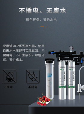 爱惠浦mc2双联奶茶店直饮水机