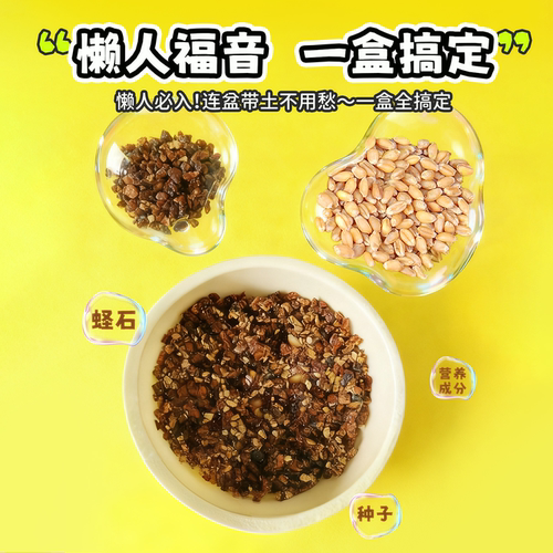 鹦鹉麦芽草粮大麦种子鹦鹉啃咬饲料鸟草盒零食促进消化解闷啄毛 - 图2