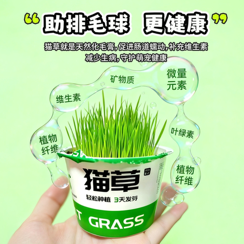 鹦鹉麦芽草粮大麦种子鹦鹉啃咬饲料鸟草盒零食促进消化解闷啄毛 - 图3