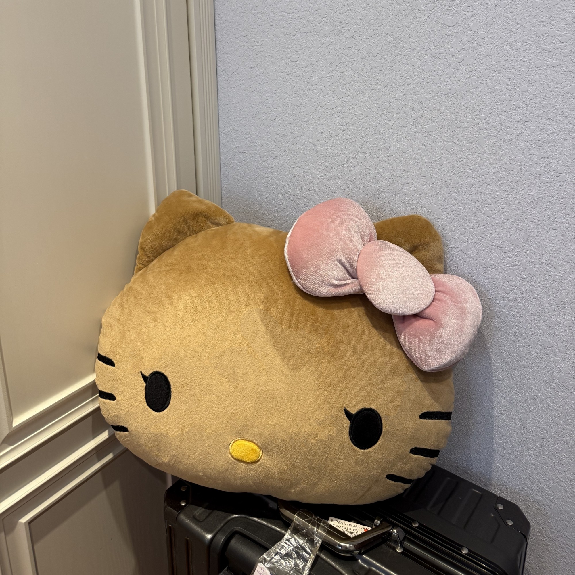 小红书爆款黑皮咖啡Kitty沙发家居懒人抱枕毯床靠垫汽车头枕颈枕,淘宝优惠券,粉丝福利购,淘宝优惠卷