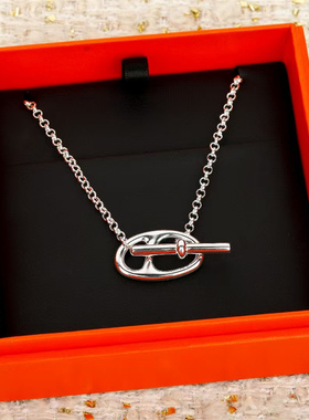 高端定制银白色项链女质感精工时尚短款锁骨链四季OL素银V金材质