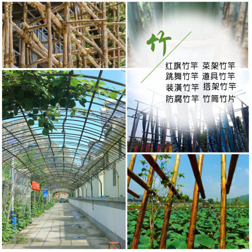 装修竹子防腐竹竿碳化竹竿旗杆白竹室内装饰吊顶户外篱笆围栏 - 图3