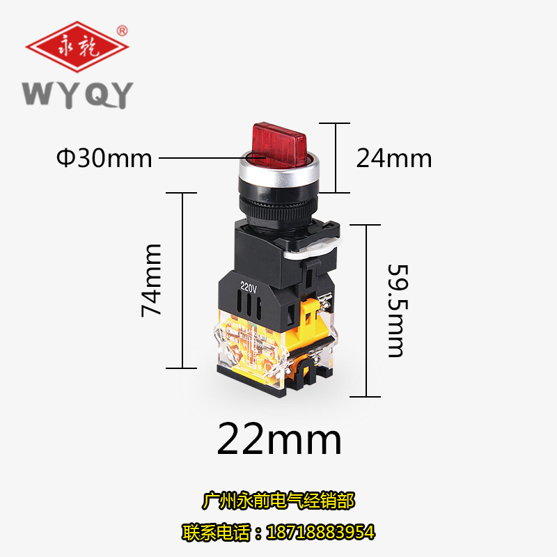 乐清永前LA38-11XD/2 红绿带灯旋钮选择控制按钮开关220V - 图2