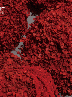 鲲屿红色永生绣球花组合