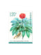 2023-20 Medicinal Plants (3) Special Stamps Complete Set of 5 Sets of 30 Discounted Letter Stamps