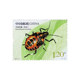 2023-15 Insect (Two) Special stamps 1 set of 4 pieces Philatelic collection Insect stamps