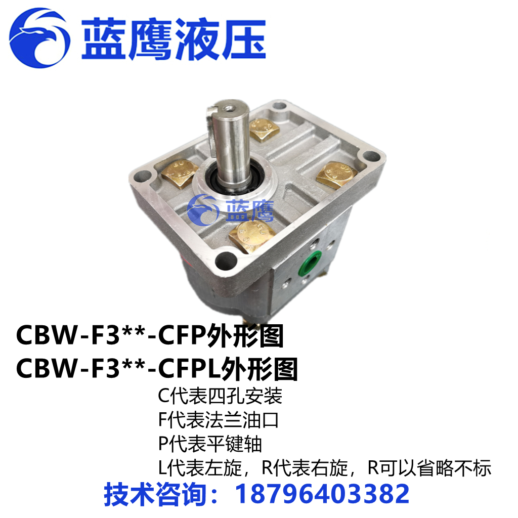 CBW-F304/F306/F308/F310-ALP CFP CLP AFP ALB CFH高压齿轮油泵L - 图3