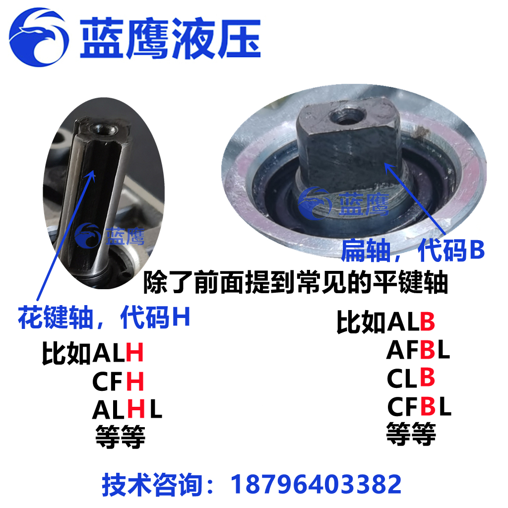 CBW-F304/F306/F308/F310-ALP CFP CLP AFP ALB CFH高压齿轮油泵L - 图2