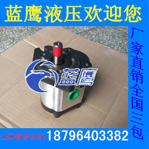 P208R P206R P214R P211R P216RP01DT P219RP P225R齿轮油泵P04DT - 图2