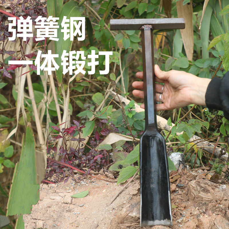 弹簧钢树铲挖洞铲移植锹钢铲挖坑铁锹园艺林工具手工花锹尖凿直锹,淘宝优惠券,粉丝福利购,淘宝优惠卷