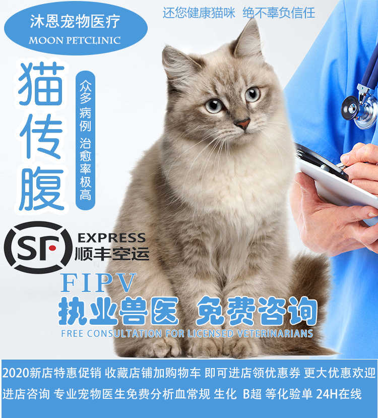 猫腹泻 新人首单立减十元 21年7月 淘宝海外