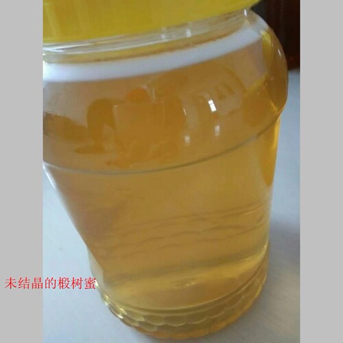 黑龙江黑河纯蜂蜜原生态农家纯正椴树蜜无添加蜜结晶1000g - 图0