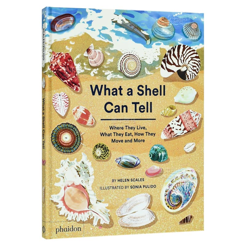 【现货】贝壳跟你说什么 What A Shell Can Tell 大自然 课外阅读书 科普书籍 英文原版进口青少年读物儿童绘本 善本图书