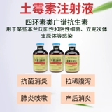 Длинная зверя Длинная инъекция хиттициллина в инъекцию жидкости ветеринарной медицины лечебной лечебной лечебной лечеб