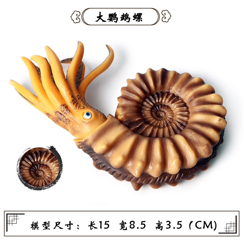 史前海洋生物玩具远古鹦鹉螺奇虾鱼龙三叶虫直角石头甲鱼鱿鱼模型-图2