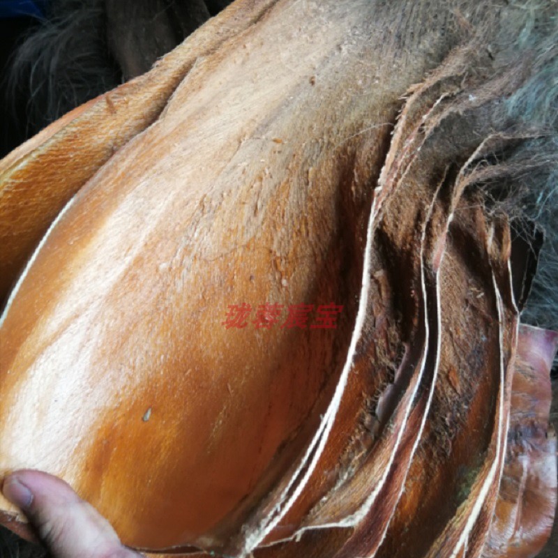 棕片棕树皮棕毛棕榈衣棕丝棕衣装饰绿萝棒育鱼苗茅草屋棕制品包邮,淘宝优惠券,粉丝福利购,淘宝优惠卷