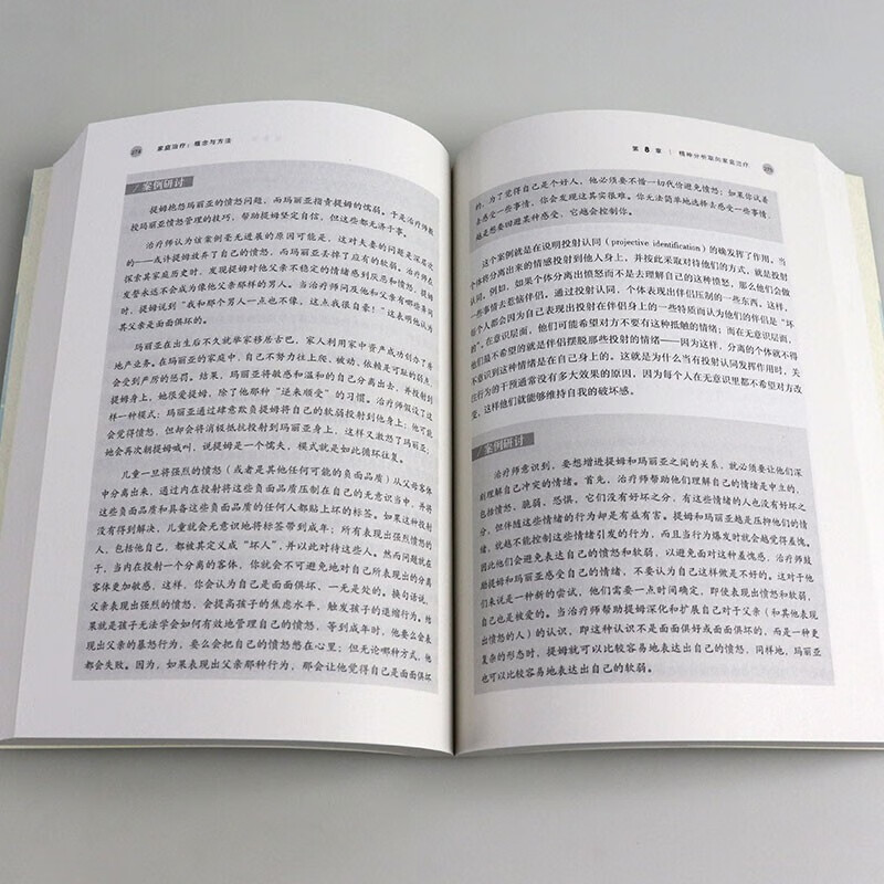 全2册 家庭治疗概念与方法+掌握家庭治疗:家庭的成长与转变之路 方晓义婚姻家庭治疗课题组译 家庭治疗研究现代治疗方法 心理学 - 图3