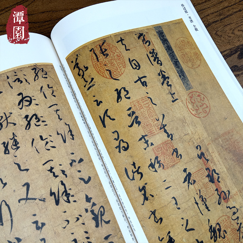 孙过庭书谱(原碑帖+技法教程)新书谱中国书法基础教程译文简体旁注历代高清笔画技法唐代原大真墨迹入门临摹教材草书毛笔字帖书籍_虎窝淘
