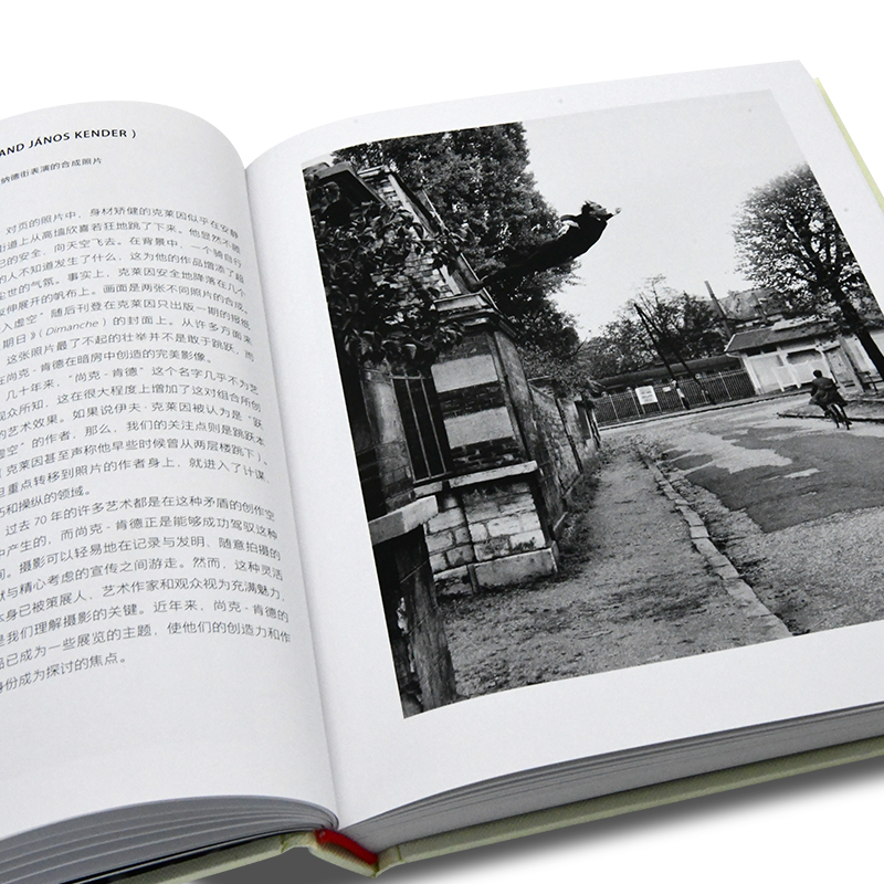 正版新书论照片:如何读懂一幅摄影作品[英]大卫·坎帕尼深度解读照片背后的故事摄影艺术200年全球摄影发展史120幅代表性照片-图0