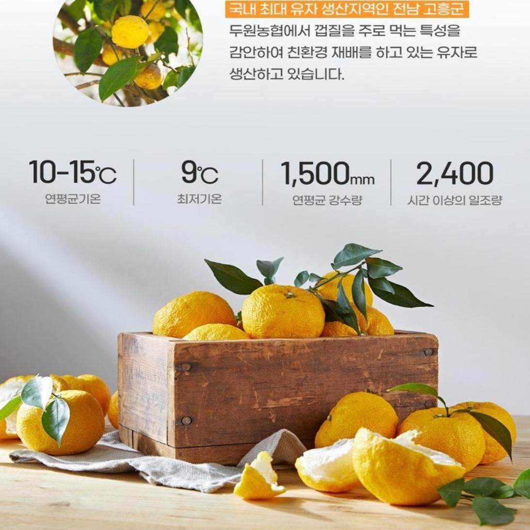 包邮鲜之园柚子茶1kg韩国进口蜂蜜果味茶奶茶店冲饮用果酱整箱,淘宝优惠券,粉丝福利购,淘宝优惠卷