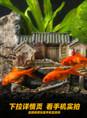 中式鱼缸摆件创意鱼虾躲避屋水族箱草缸造景装饰微景观古建筑模型