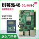Raspberry Pi sensor development board python programming